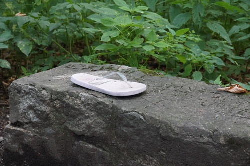 foto_1