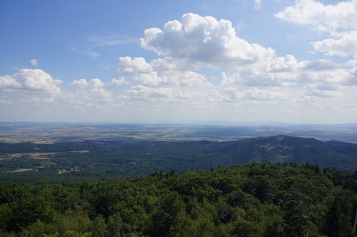 foto_1
