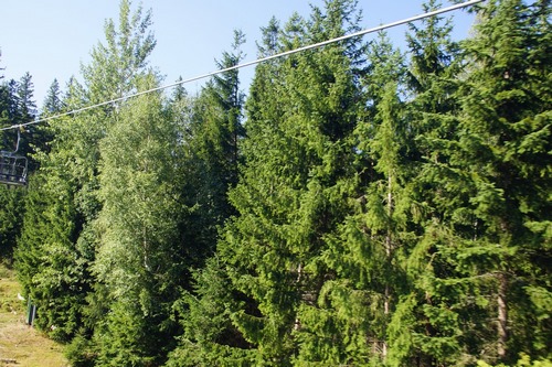 foto_1