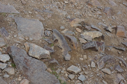 foto_1