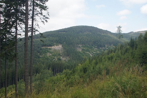 foto_1