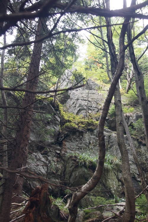 foto_1